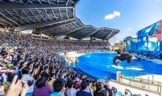 上海迪士尼各种票介绍